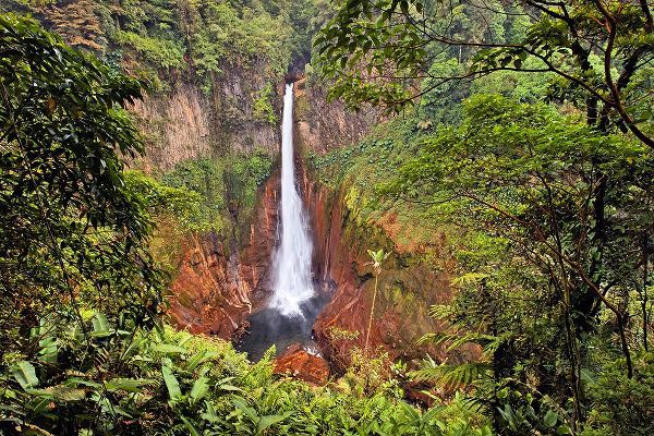Jones, Adam 아티스트의 Catarata Del Toro Waterfall-in the mountains of Bajos del Toro Amarillo-Sarchi-Costa Rica작품입니다.